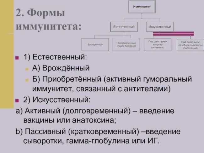 Активный иммунитет – ответ организма возбудителям инфекций