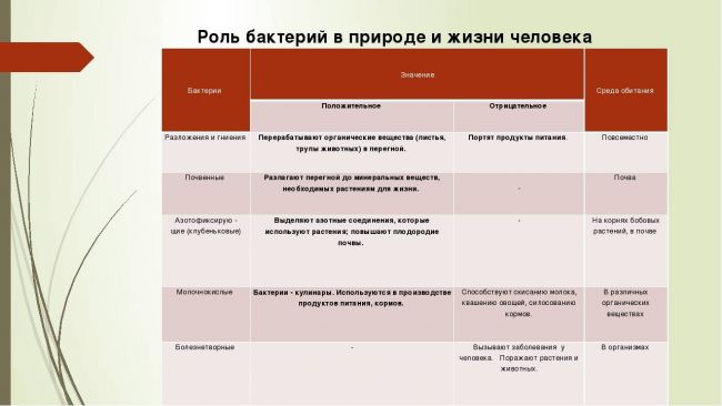 § 12. роль бактерий в природе и жизни человека