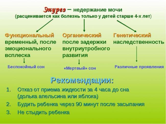 Энурез у детей