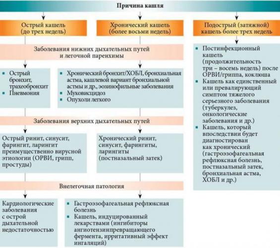 Особенности кашля при туберкулезе легких