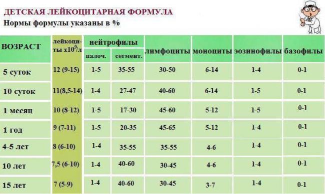Вирус или бактерия - полезная информация - расшифровка анализов онлайн