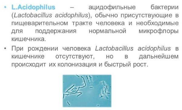 Свечи Ацилакт и инструкция по применению в гинекологии
