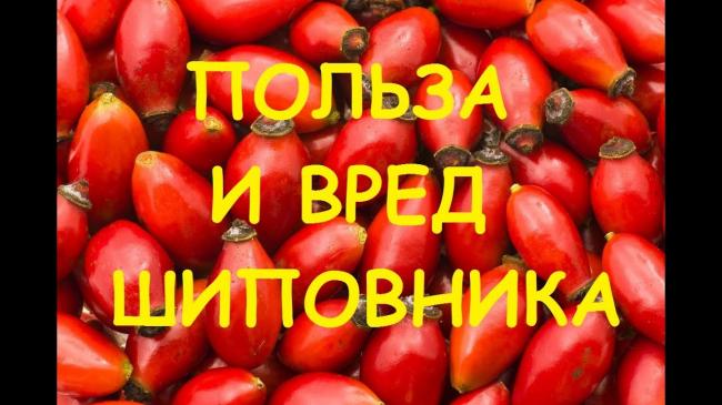 Сироп шиповника для детей разных возрастных групп