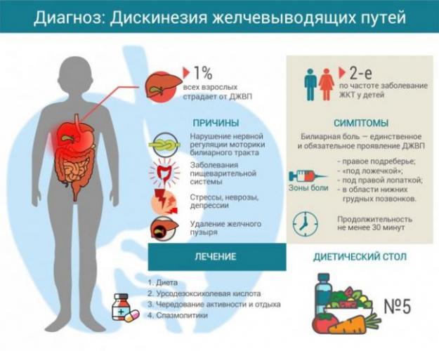 Дискинезия желчевыводящих путей (джвп): причины, симптомы, диагностика и лечение