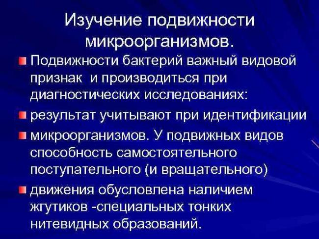 Способы классифицирования бактерий, основанные на изучении их морфологии