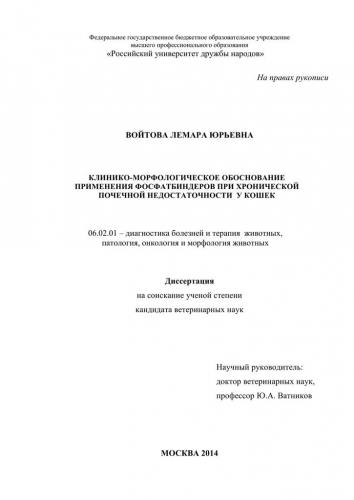Кистозные заболевания почек