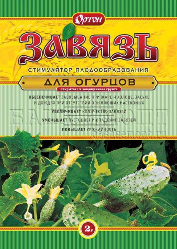 Завязь