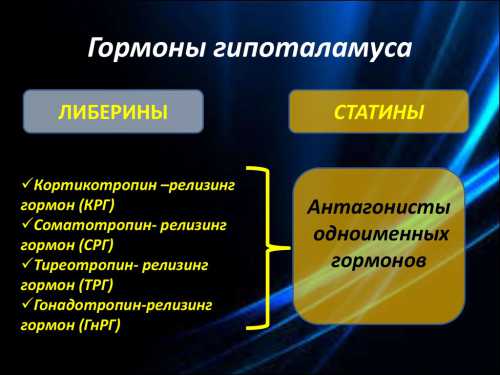 Адренокортикотропный гормон — большая медицинская энциклопедия