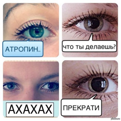 Атропин – инструкция по применению, показания, дозы, аналоги