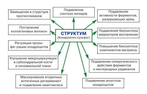 Драстоп - официальная инструкция по применению
