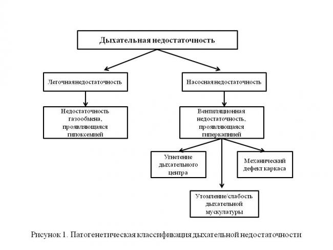 Киста на почке — что делать, чем вылечить?