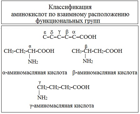 Аминокислоты. свойства аминокислот., калькулятор онлайн, конвертер