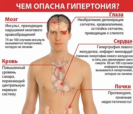 Какие напитки повышают, а какие снижают давление