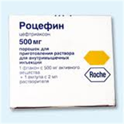 Роцефин: инструкция по применению, аналоги, цена, отзывы