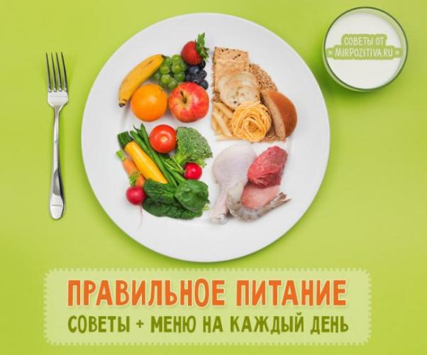 Раздельное питание для похудения: меню на неделю, таблица совместимости продуктов, рецепты