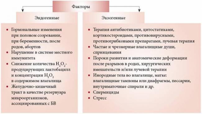 Бактериальный вагиноз: 5 мифов - и правда от акушера-гинеколога. вагиноз лечение, вагиноз симптомы