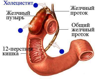 Причины пульсирующей боли в пояснице