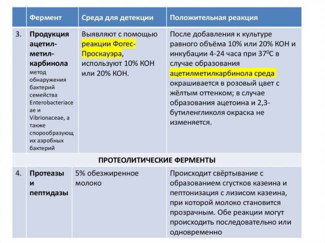 Микробиология дома: выращиваем полезные бактерии