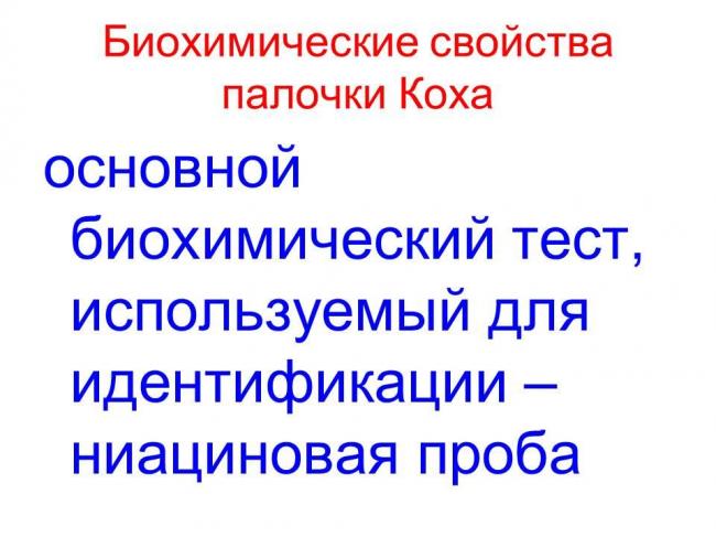 Палочка коха: что это такое, как передается и сколько живет