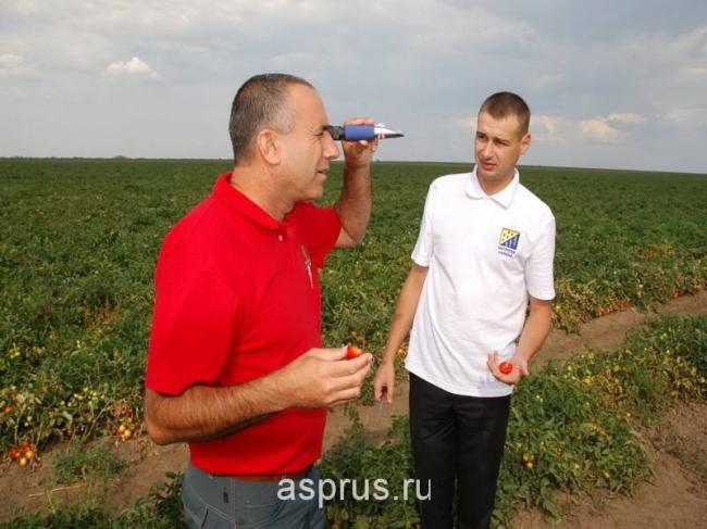 Введите код, указанный на картинке