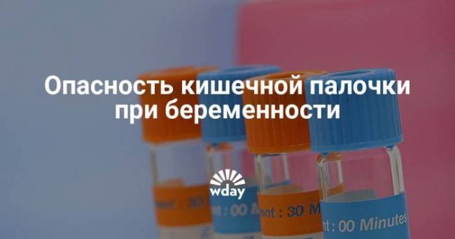 Escherichia coli 10/6 в моче - запись пользователя summer (id2122363) в сообществе благополучная беременность в категории анализы - babyblog.ru