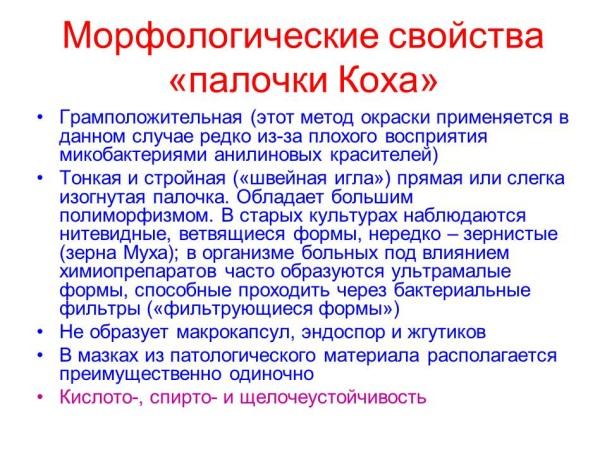Палочка коха: свойства, заражение, течение инфекции, диагностика, терапия