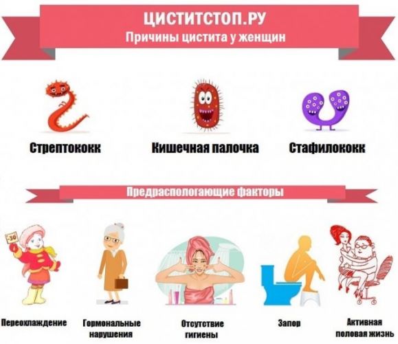 Палин (palin). аналоги и заменители, инструкция по применению, цена, отзывы