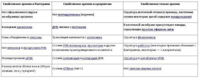 Грамотрицательные бактерии