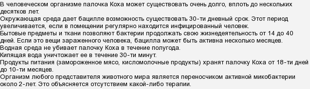 Палочка коха: что это такое, как передается и сколько живет