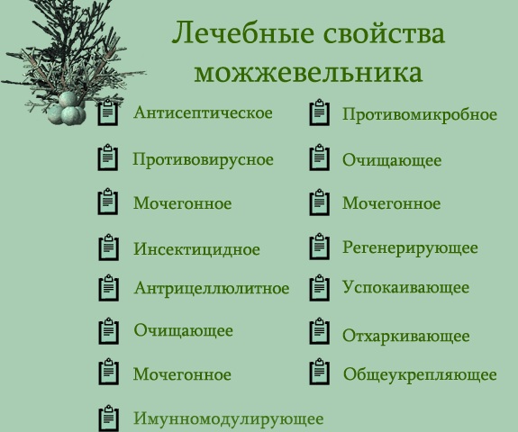 Трава пол пала — полезные свойства и противопоказания, применение