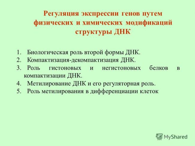 Экспрессия генов