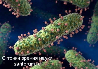 Особенности генетики бактерий. - основы микробиологии