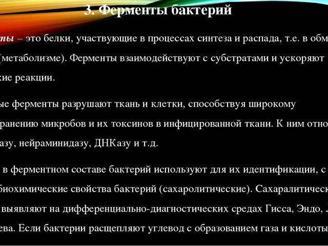 Культуральные свойства бактерий: определение, описание, особенности и функции