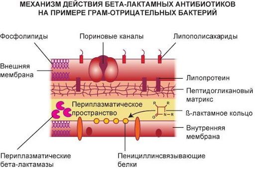 Супракс — аналоги дешевле
