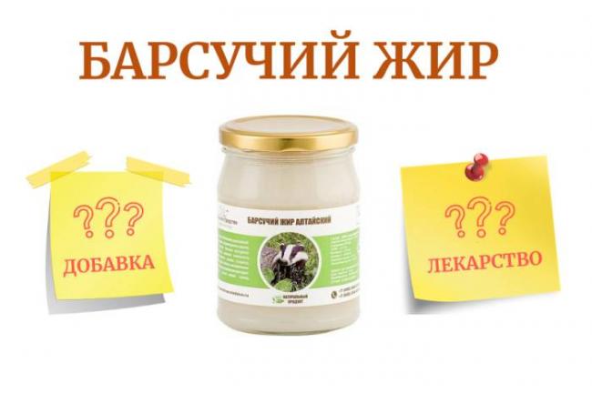 Барсучий жир – лечебные свойства и противопоказания