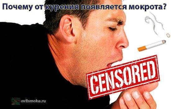Мокрота с кровью: причины кровохарканья
