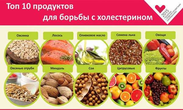 Оливковое масло и холестерин