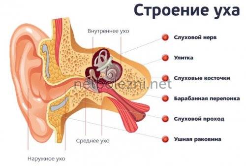 Как убрать и вылечить заложенность носа у ребенка?