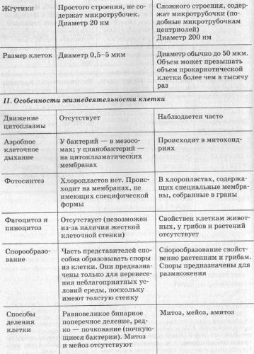 Отличие бактериальной клетки от животной. чем отличается бактериальная клетка от растительной: основные функциональные и структурные отличия