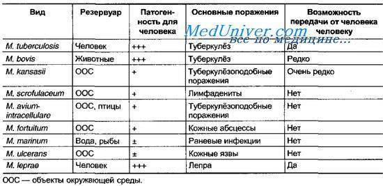 Способы очищения воздуха от бактерий