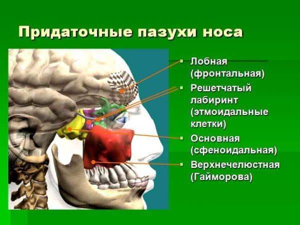 Как часто можно использовать полидекса
