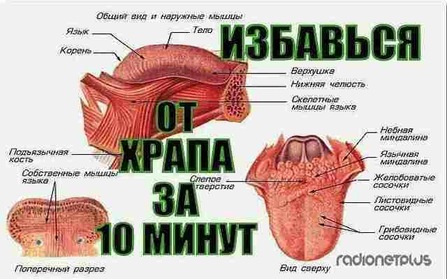 Что такое храп и как можно от него избавиться