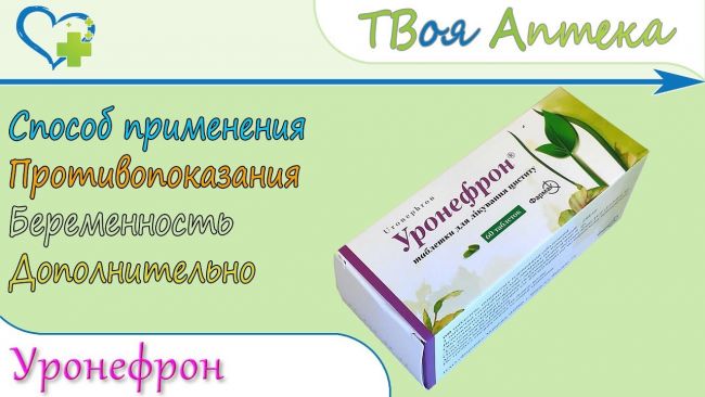 Уронефрон: инструкция по применению, цена, отзывы и аналоги