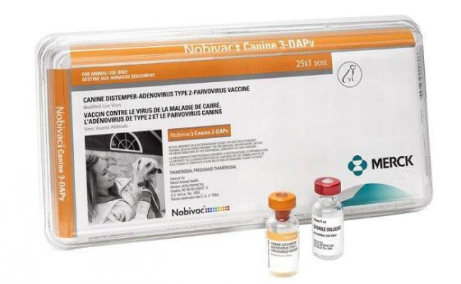 Нобивак Лепто Nobivac Lepto