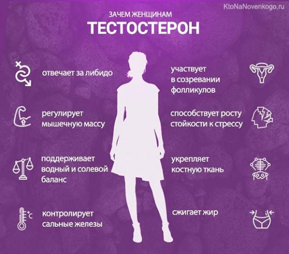 Гормон тестостерон, строение, фунции и его роль в организме