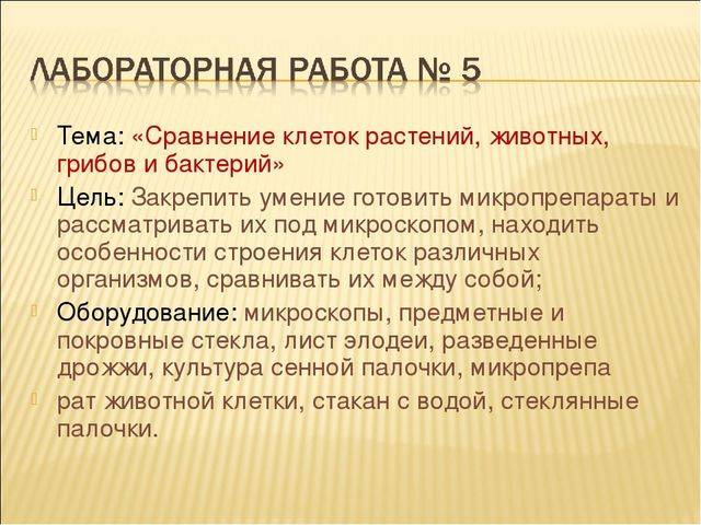 Отличие бактериальной клетки от животной. чем отличается бактериальная клетка от растительной: основные функциональные и структурные отличия