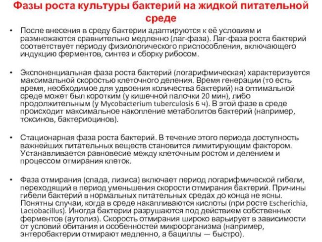 Фазы жизни и роста бактерий