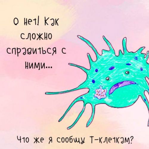 Микобактерия туберкулёза (mycobacterium tuberculosis)