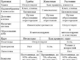 В чем заключаются главные отличия строения клеток бактерий и животных