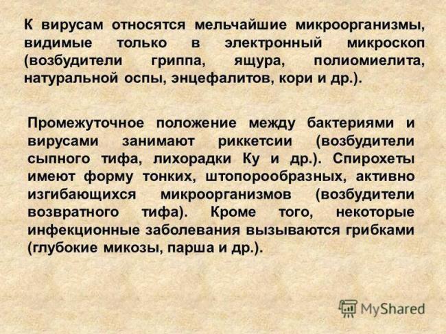 Болезнетворные бактерии: на коже, во рту, в кишечнике. фото грибков и бактерий